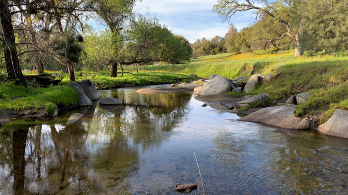 Larrick Conservation Easement