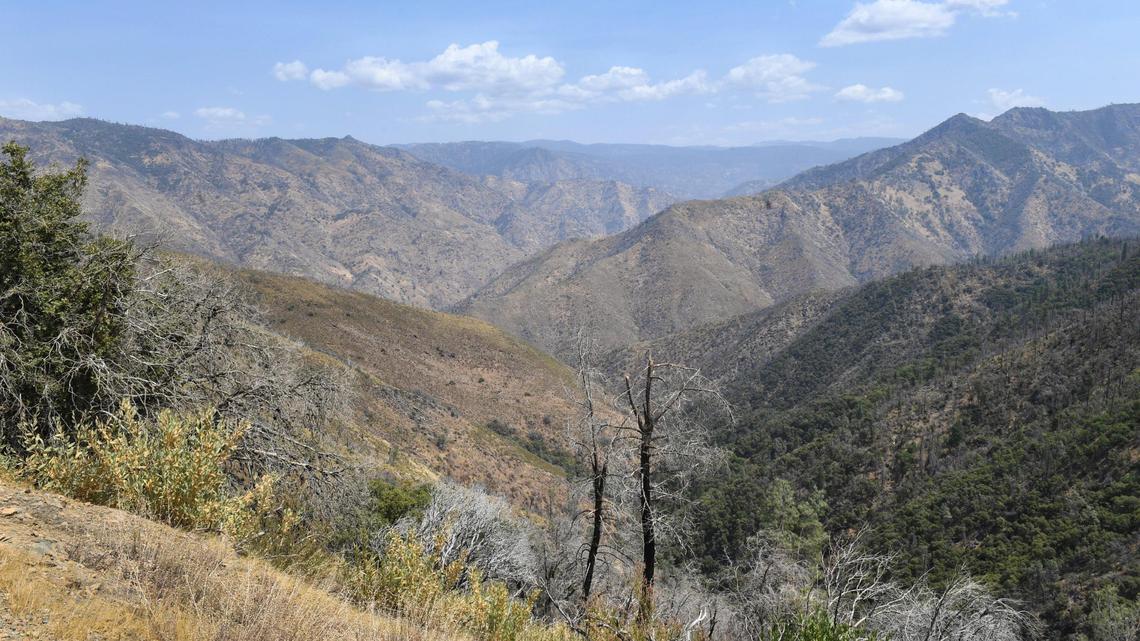 A remote canyon area northeast of the town of Mariposa, seen on Wednesday, Aug. 18, 2021, is reported to be the area where a family and their dog was found dead on Tuesday, the Mariposa County Sheriff’s Office said.