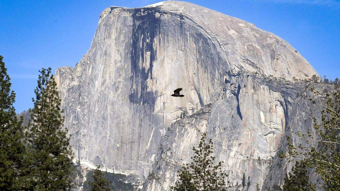 Yosemite search and rescue team saw ‘record high’ number of incidents in 2025