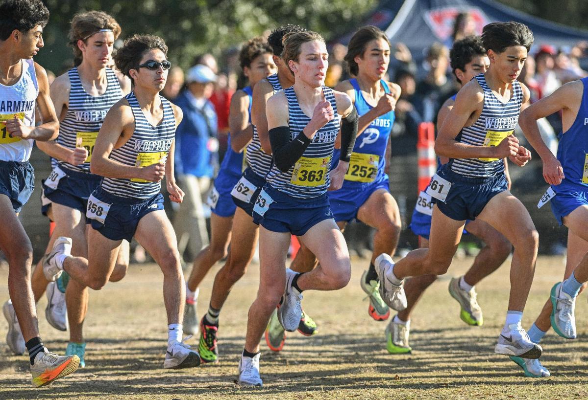 Members of the Clovis East cross country team, including top runner Carter Spradling, center, start off on the course during the boys Division I state cross country championships at Woodward Park in Fresno on Saturday, Nov. 25, 2023.