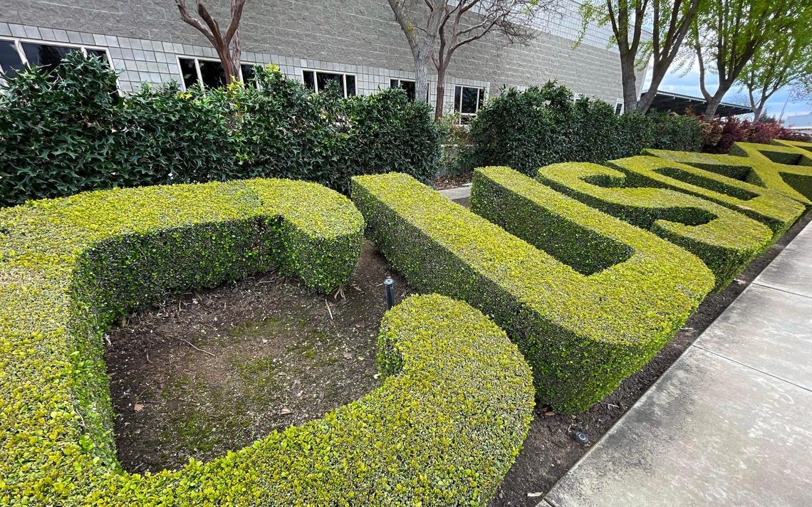 Shrubbery spells out the initials for Clovis Unified School District at the district’s Professional Development Building site along Clovis Avenue just east of Sunnyside Ave., photographed Wednesday, March 27, 2024 in Clovis.