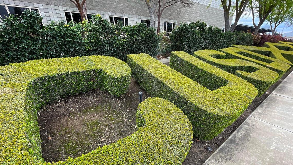 Shrubbery spells out the initials for Clovis Unified School District at the district’s Professional Development Building site along Clovis Avenue just east of Sunnyside Ave., photographed Wednesday, March 27, 2024 in Clovis.