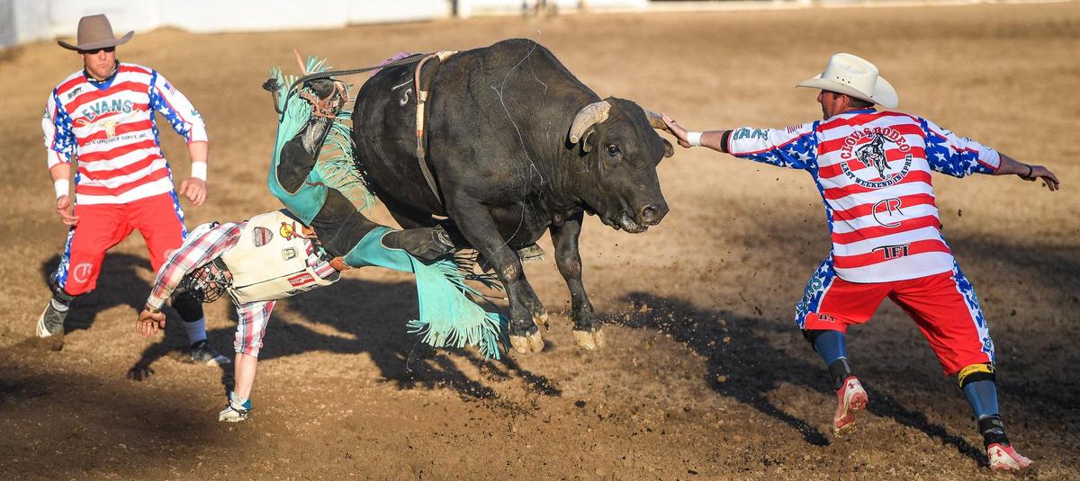 Dustin Martinez jumps off of his bull Neon Prince after his ride in the second section of bull riding during the Professional Bull Riders event on the opening day of the Clovis Rodeo on Wednesday, April 20, 2022.
