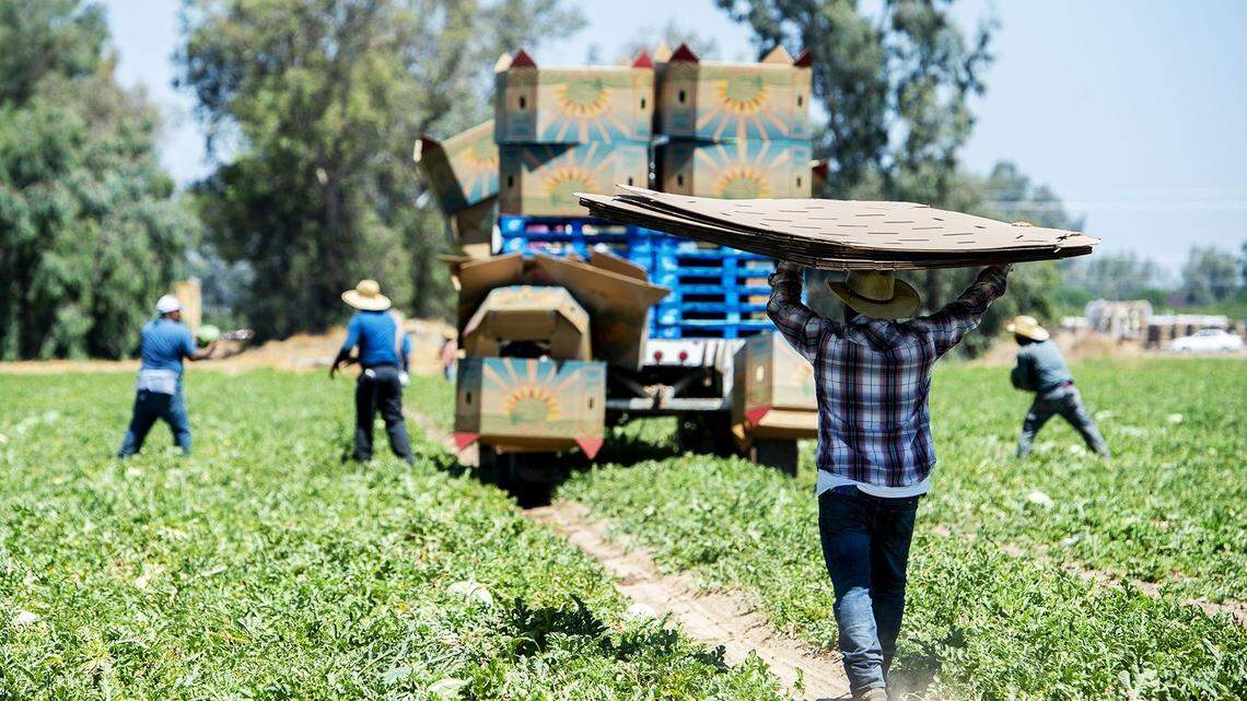 Cooperation, not opposition, is key to solving California’s groundwater management