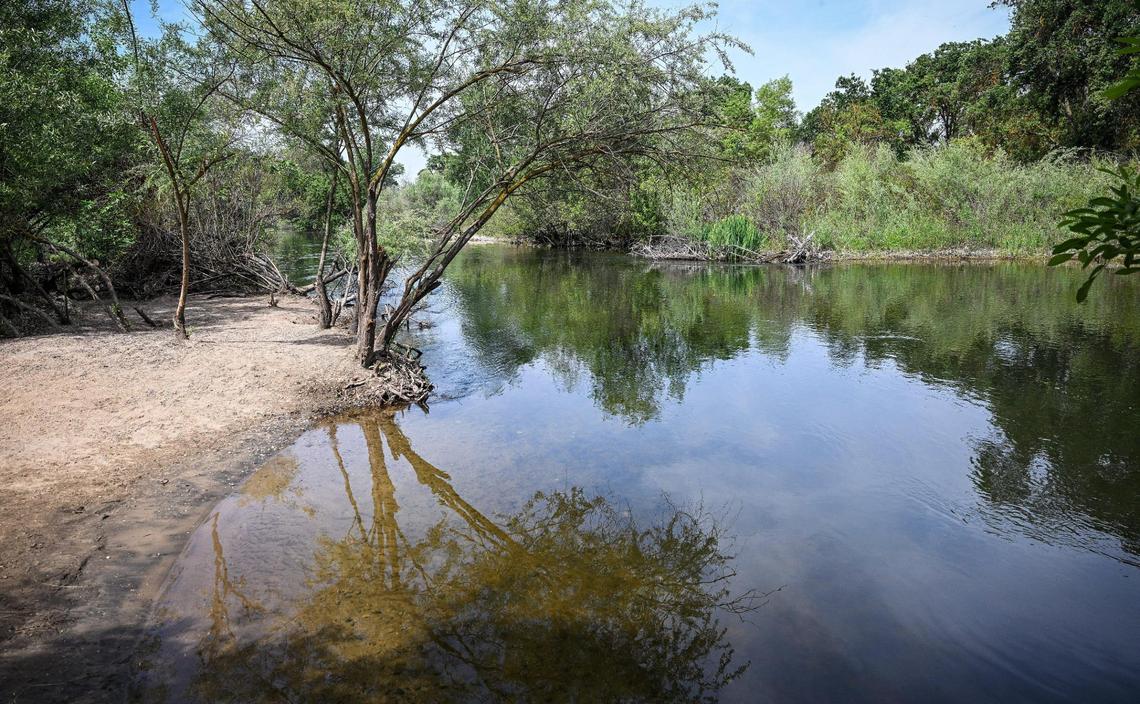 The San Joaquin River flows calmly along the banks of the Jensen River Ranch area that is part of the San Joaquin River Conservancy with its trail access points just to the north of Woodward Park in Fresno on Wednesday, April 20, 2025.