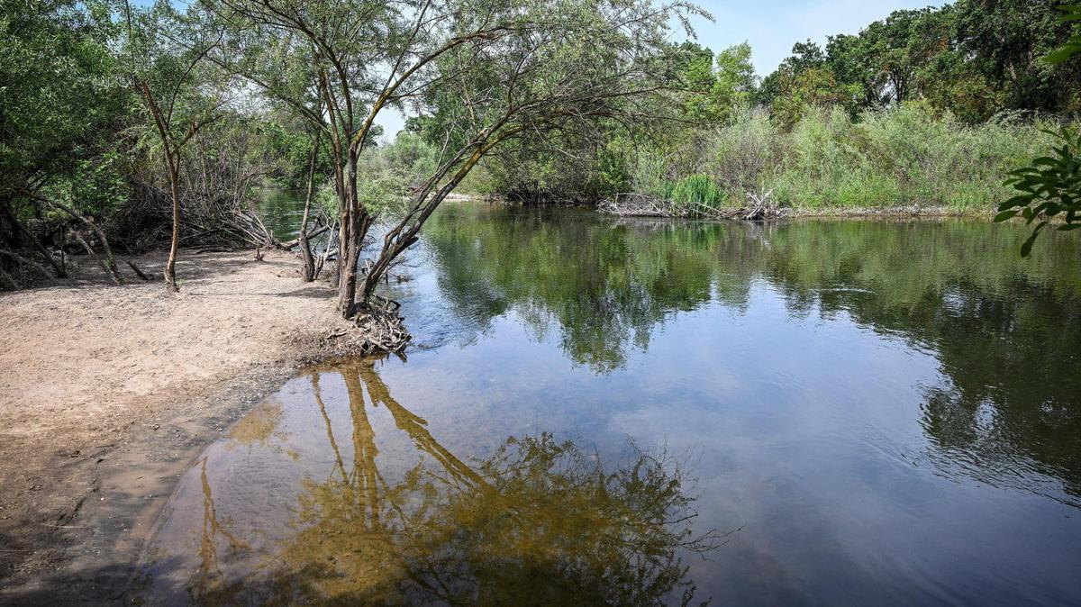 The San Joaquin River flows calmly in April along the banks of the Jensen River Ranch area, which is part of the San Joaquin River Conservancy, with its trail access points just to the north of Woodward Park.