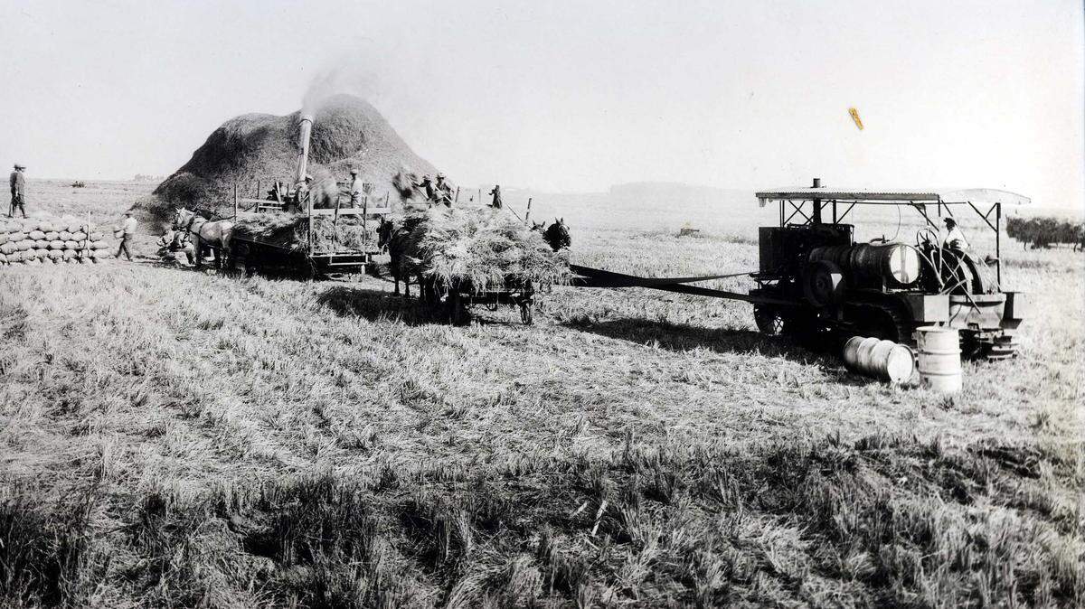 Threshing wheat in Merced County more Than 100 years ago.