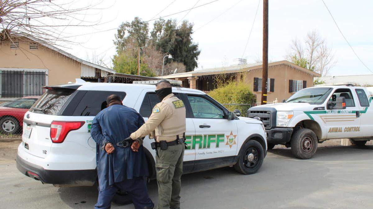 Angel Navarro of Alpaugh is arrested Sunday in Earlimart by a Tulare County Sheriff’s deputy. Navarro allegedly beat a dachshund with a blunt metal object.