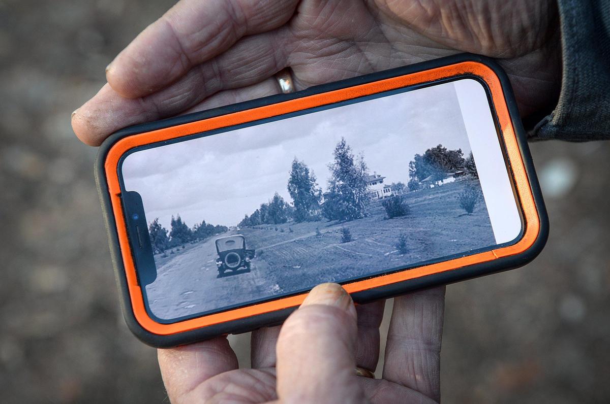Greg Pratt locates an old image on his phone showing Van Ness Boulevard lined with young deodar cedars in the area where he now owns a home, on Friday, Nov. 29, 2019.