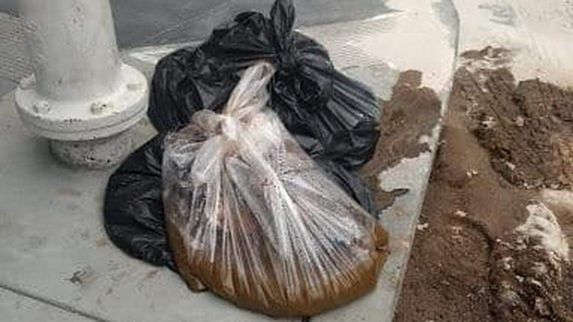Approximately 20 pounds of human poop were found on a San Francisco sidewalk.