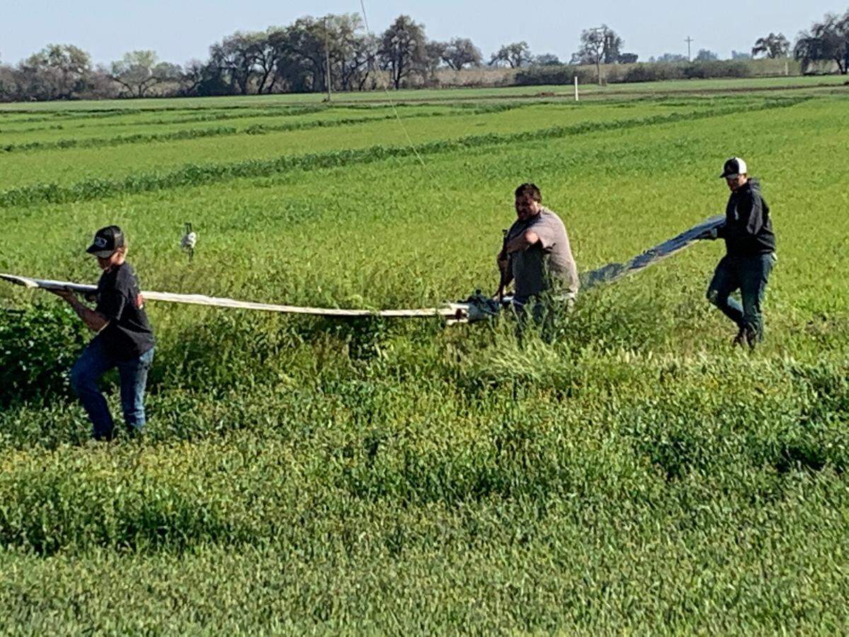 Rotors are salved after a helicopter clipped power lines while spraying a field near Laton in Fresno County, California on Saturday, March 13, 2021.