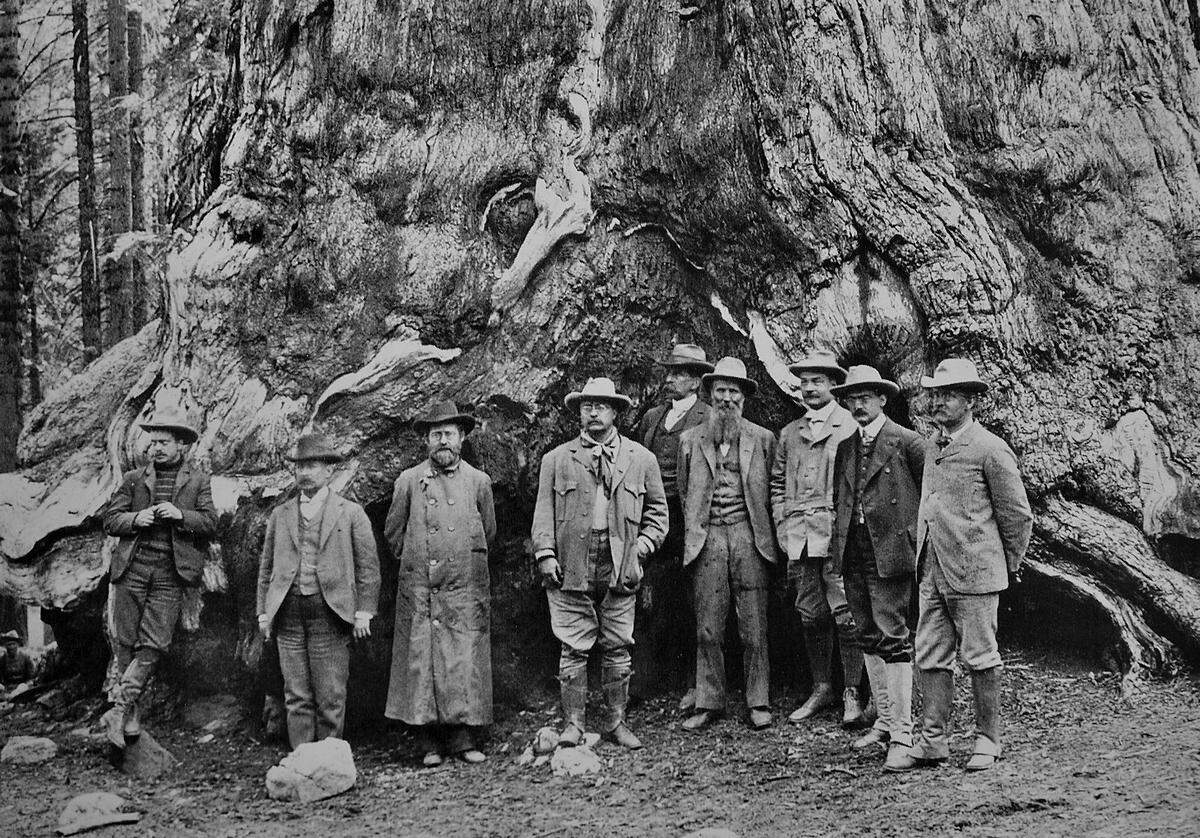 President Theodore Roosevelt, at center, and John Muir, right center with long beard, at the Grizzly Giant tree in Yosemite's Mariposa Grove of Giant Sequoias on May 15, 1903.