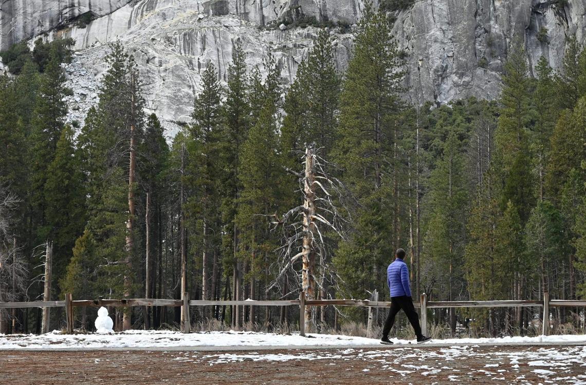 A visitor passes a snowman made at Sentinel Meadow in Yosemite Valley Friday, Feb 9, 2024 in Yosemite National Park.