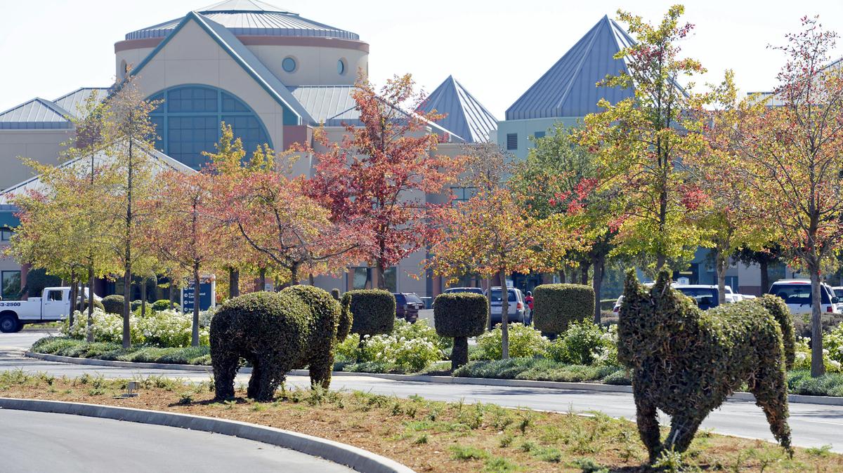 Valley Children's Hospital