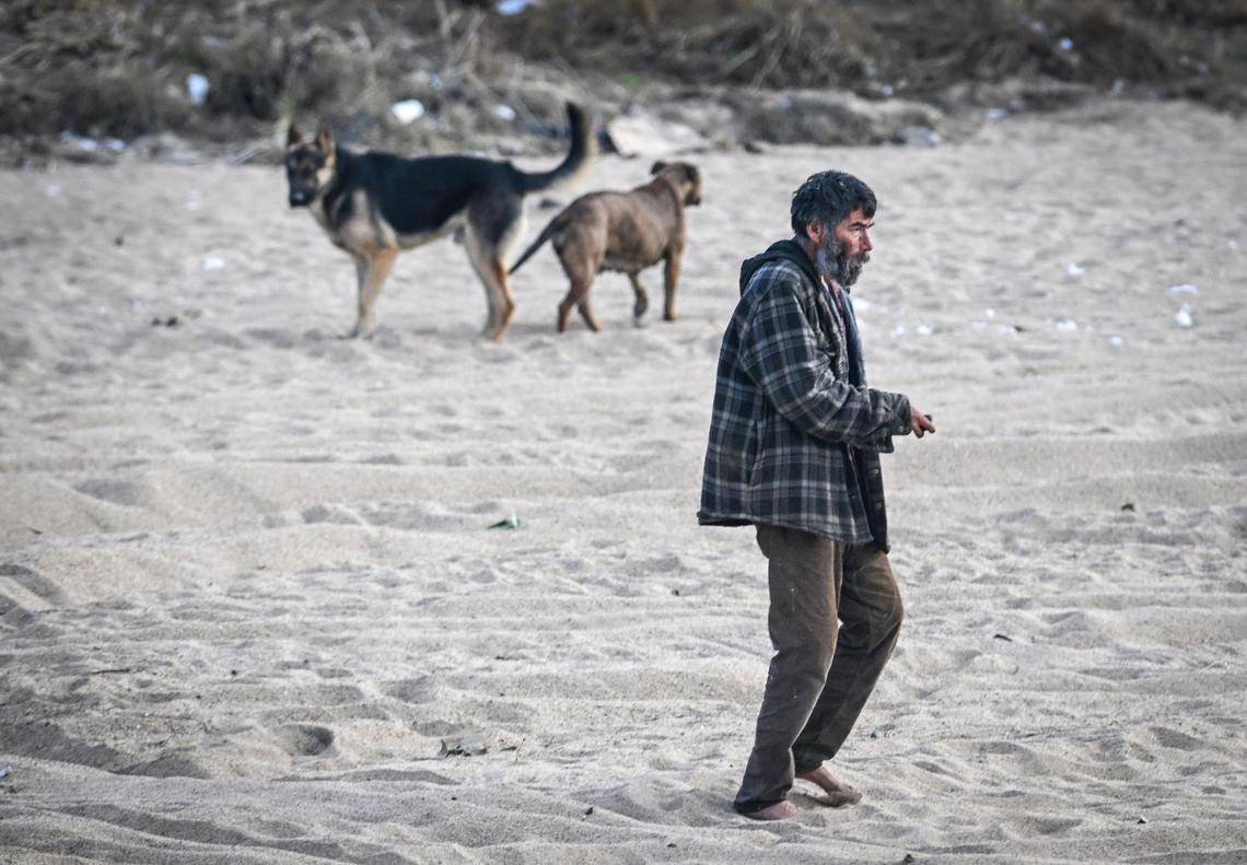 An apparently unhoused man walks past a pair of loose dogs in the river bottom near the Cleveland Avenue bridge at the Fresno River in Madera on Thursday, Dec. 19, 2024.