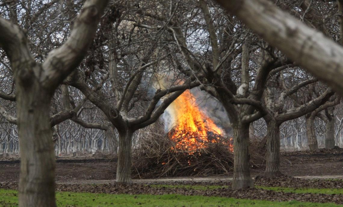 A fire burns in an orchard in Tulare County, California, in this file photo from December 2003.