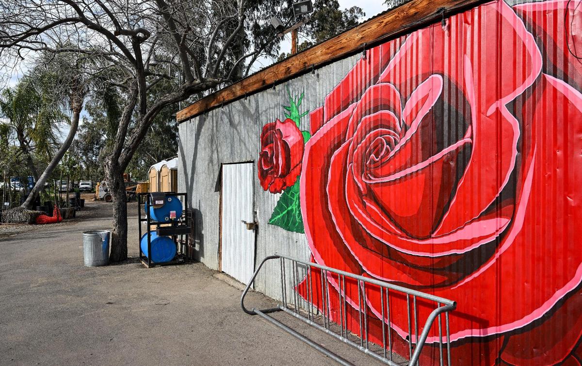 A giant rose mural on one of the buildings at Gazebo Gardens is a favorite for Instagram selfies during community get-togethers like its weekly beer garden and live music events.