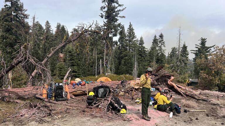 Did the National Park Service just hint at a possible cause of Yosemite’s Dome Fire?