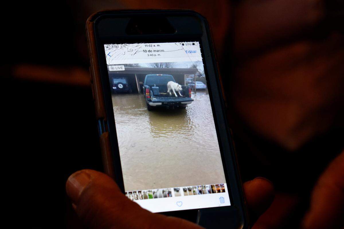 Filberto Hernández Ramírez shows a picture of his family’s dog, Coco, in Lindsay, in Tulare County, on March 22, 2023. Hernández Ramírez said he wanted to prevent Coco from getting injured or swept away by the water as the family’s apartment flooded on March 10.