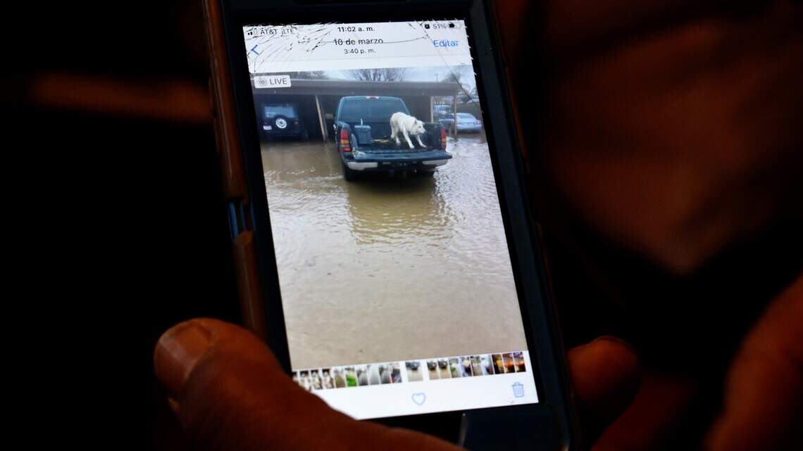Trabajadores agrícolas de California piden beneficios y ayuda tras las inundaciones