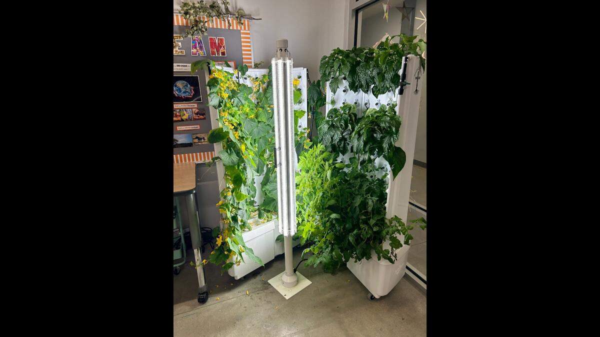 The hydroponic Flex Farm system from Fork Farms can produce 25 pounds of leafy vegetables a week. Fresno Unified plans to install one of these systems at each of its high schools.