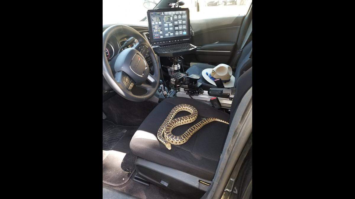 This photo was posted on the CHP - Fort Tejon - Grapevine Facebook page on Aug. 27, 2019.