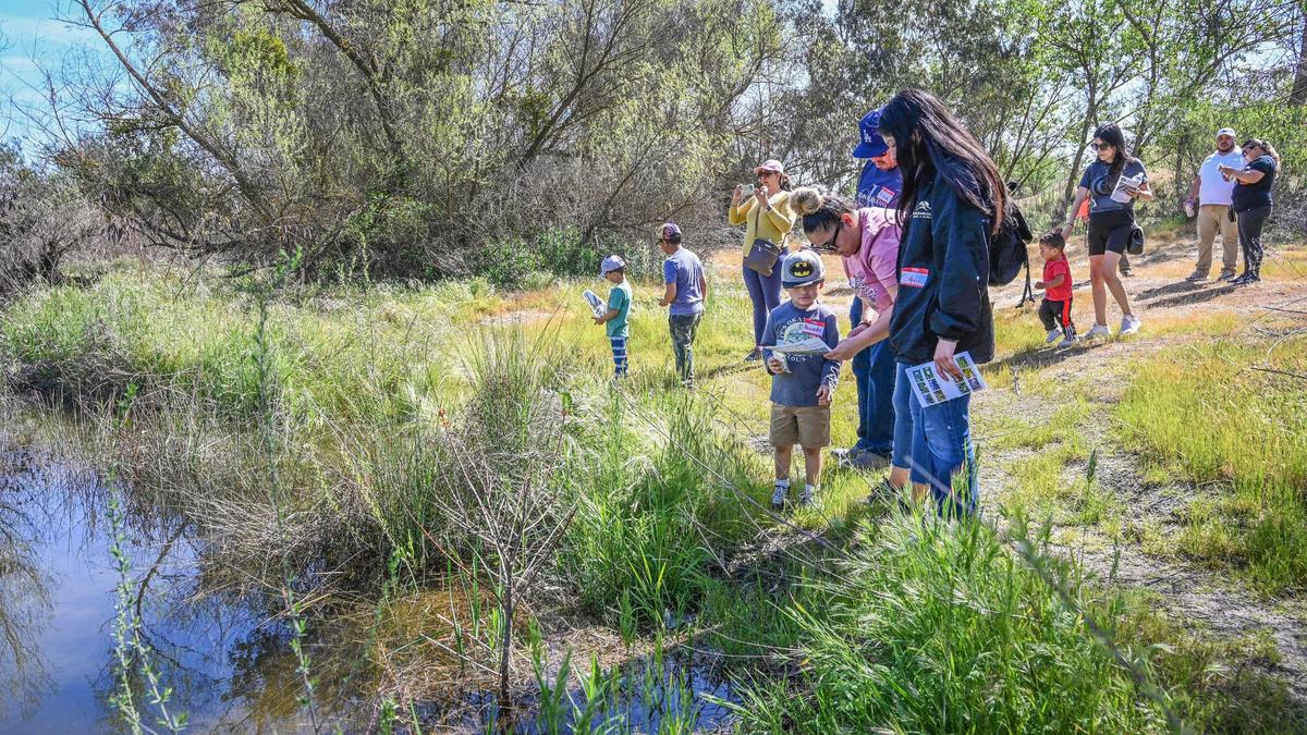 Visitors stop at the bank of the San Joaquin River at Camp Pashayan in northwest Fresno during the #River4All Community Day on Saturday, April 2, 2022. Camp P has basically been abandoned since the mid 2000s. It is being “reactivated” by Fresno Building Healthy Communities (the nonprofit behind Measure P) as part of an effort to develop the Eaton Trail from 99 to the Milburn Overlook.