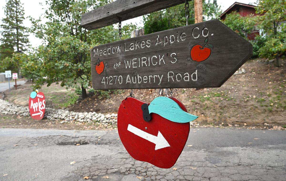 The Orchard at Meadow Lakes located along Auberry Road between Auberry and Shaver Lake offers orchards for visitors to pick their own apples. Photographed Friday, Oct. 3, 2025 near Auberry.