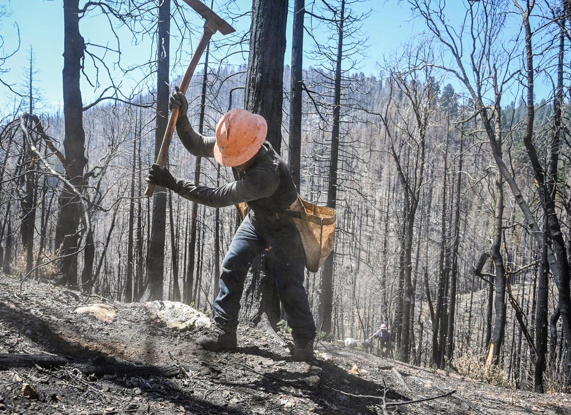 A tree planting crew member digs a hole to plant a conifer seedling along with thousands of others while rehabilitating forestland scorched in the 2020 Castle Fire in the Mountain Home Demonstration State Forest on Tuesday, April 26, 2022.