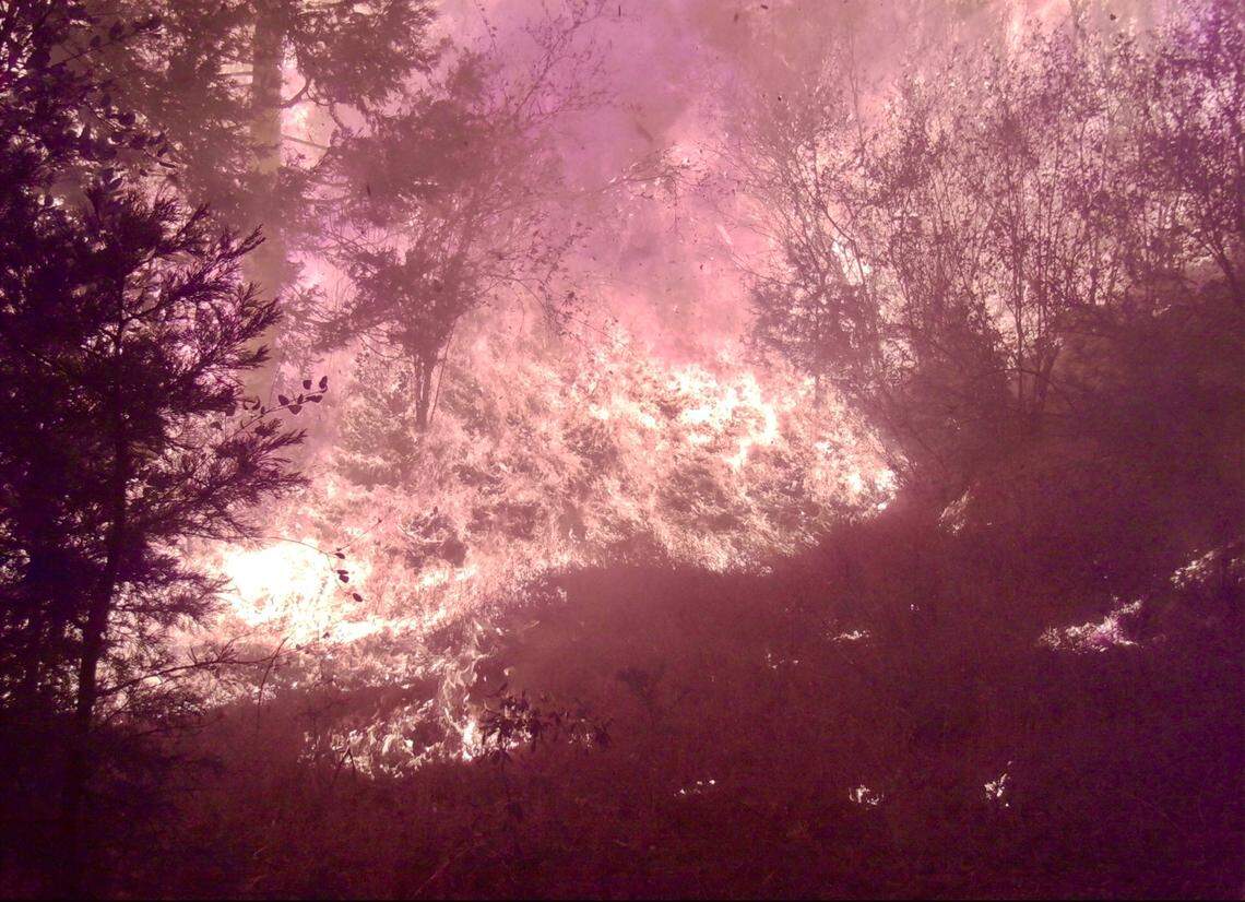 A trail camera on Scott Silva’s property below the village of Shaver Lake captured this image at 7:48 p.m. Sept. 7 of the Creek Fire consuming his property in the Dogwood neighborhood.