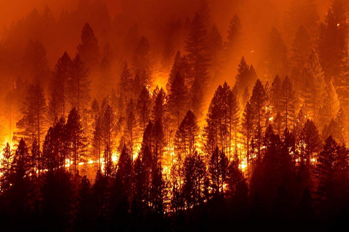 The Dixie Fire burns down a hillside toward Diamond Mountain Road near Taylorsville in Plumas County, Calif., on Friday, Aug. 13, 2021.