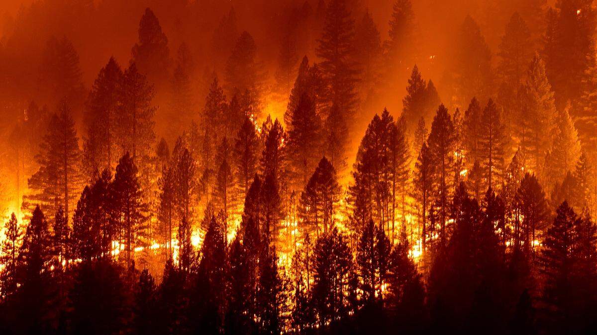 The Dixie Fire burns down a hillside toward Diamond Mountain Rd. near Taylorsville in Plumas County, Calif., on Friday, Aug. 13, 2021.