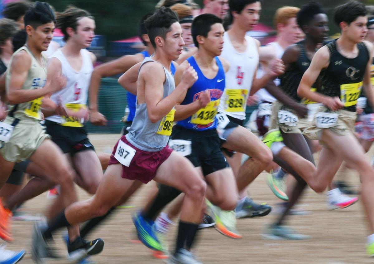 The Boys D-IV race begins at the CIF state cross country championships Saturday, Nov. 26, 2022 in Fresno.