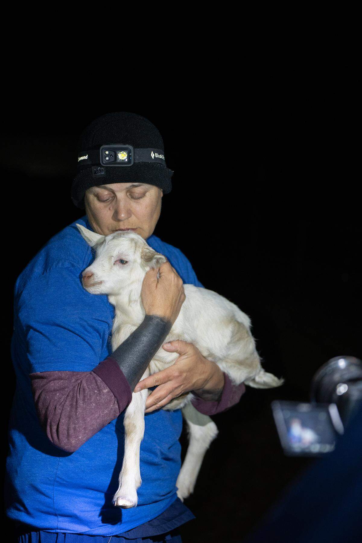 In this submitted photo, a member of Direct Action Everywhere carries a baby goat from a Kings County dairy.