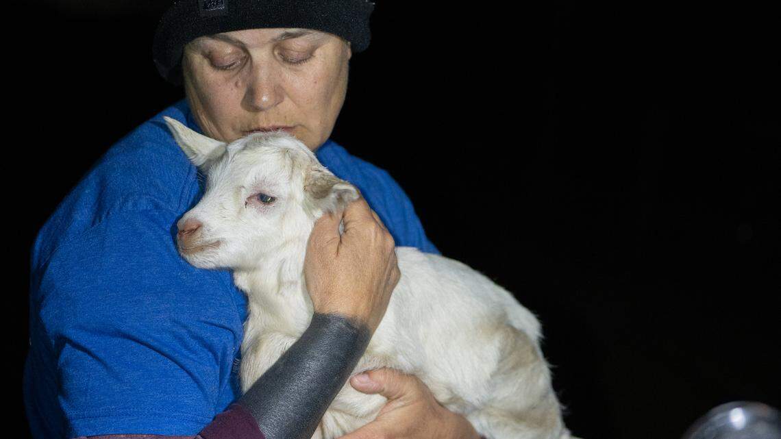 Animal rights activists charged criminally for taking goats from Kings County dairy