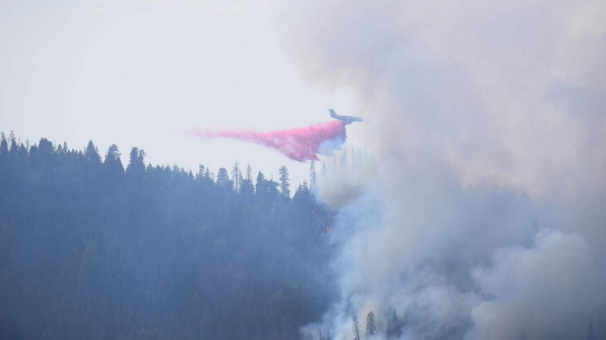 Wildfires in the Sequoia and Kings Canyon National Parks continued to burn for the third straight day Saturday. Though the Cabin Fire reached approximately two acres and is largely contained, the Colony grew from four acres to 72 acres overnight with 0% containment and the Paradise Fire is now approximately 32 acres in size with 0% containment.