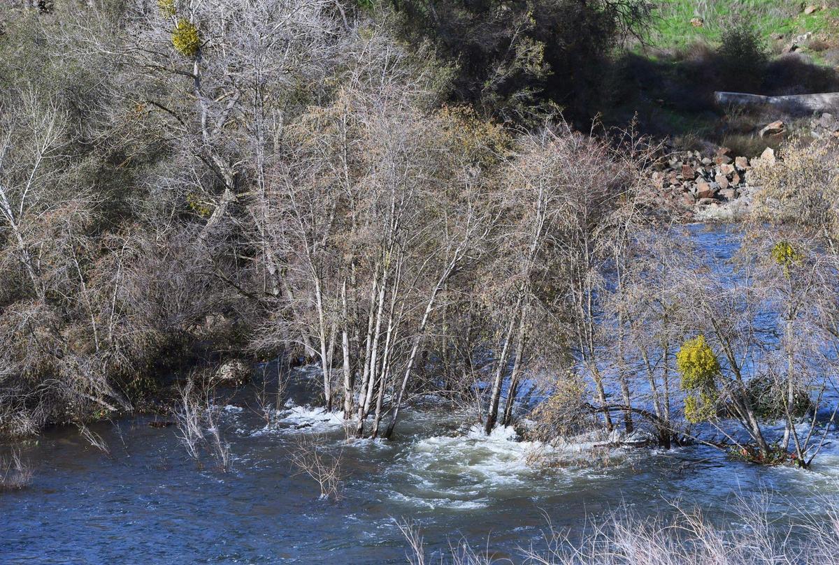 The San Joaquin River flows just below Friant Dam as the Bureau of Reclamation increased water releases Friday, Jan. 6, 2023 near Friant.
