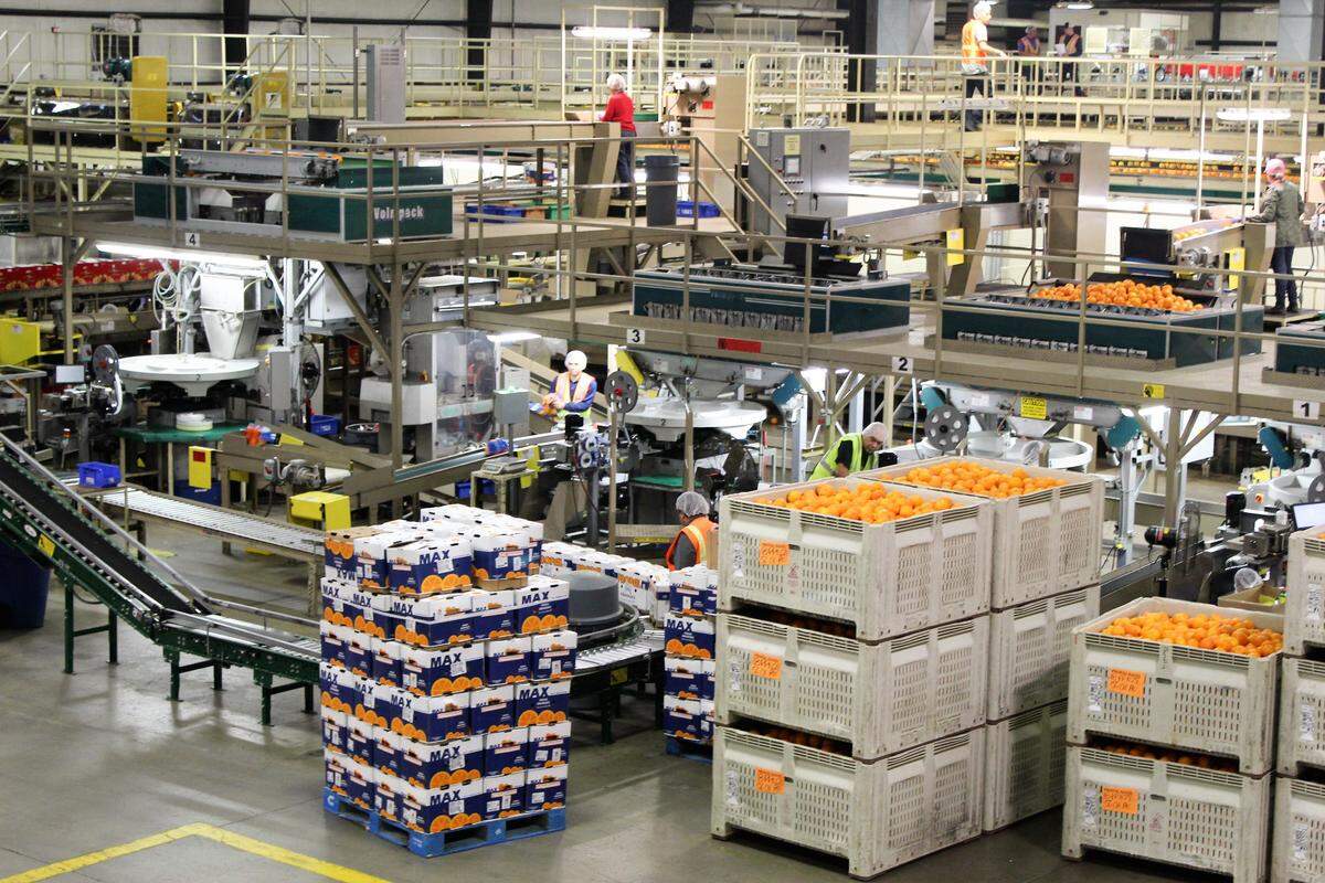Citrus processing at plants like Bee Sweet Citrus in Fowler goes on almost year-round.