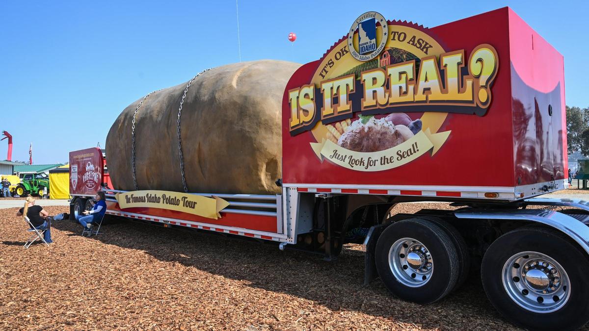 A giant faux potato sits on a semi from the Idaho Potatoes’ Idaho Potato Tour at the World Ag Expo in Tulare on Tuesday, Feb. 8, 2022.