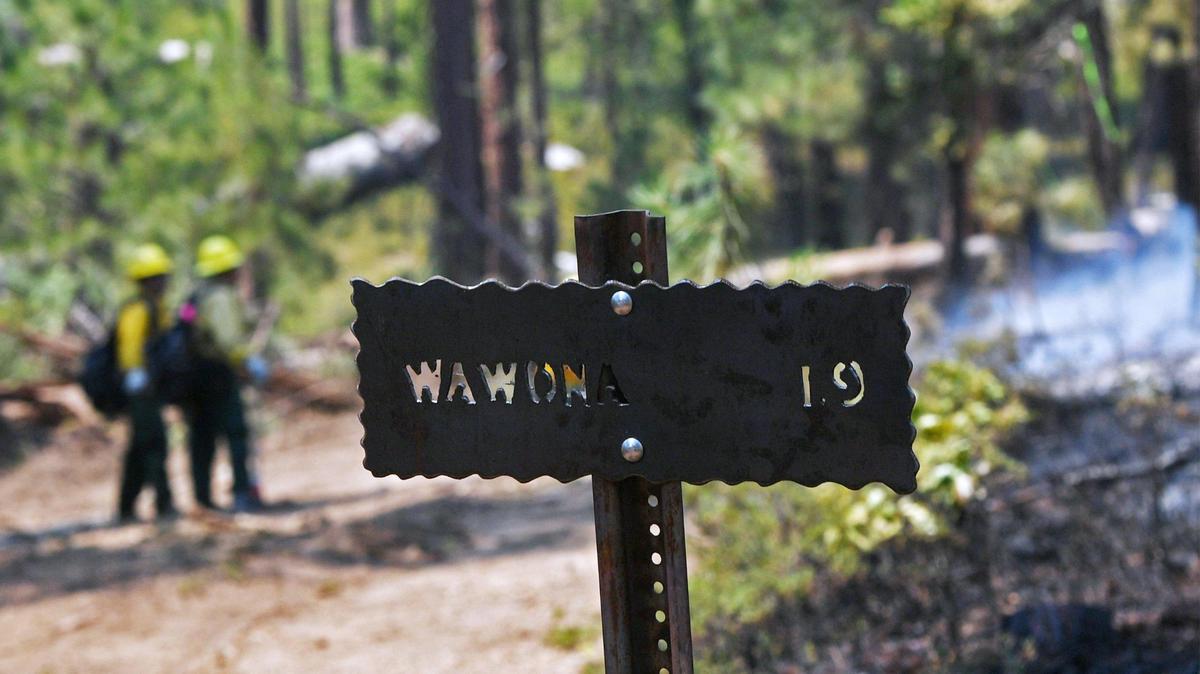 Firefighters keep an eye on spot fires along the Wawona-Mariposa Grove Trail, an area burned by the Washburn Fire near Wawona in Yosemite National Park Monday, July 11, 2022.