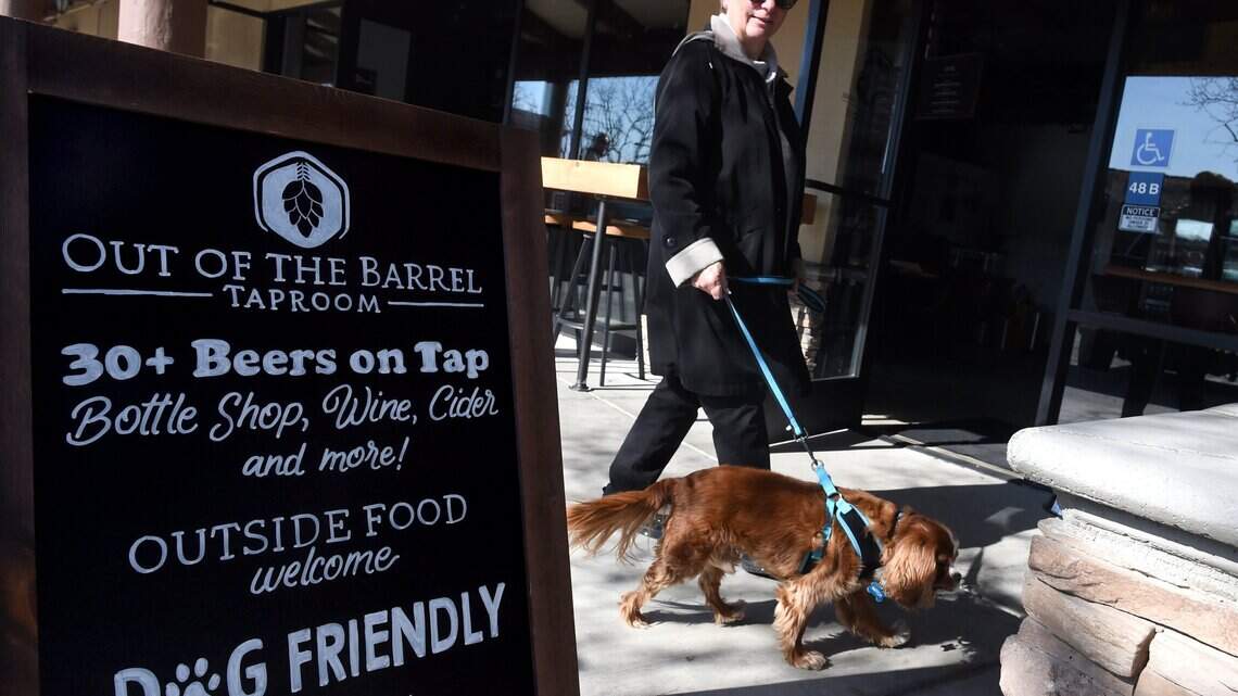 Fresno is the worst city in the U.S. to own a pet, new survey says. Here’s why