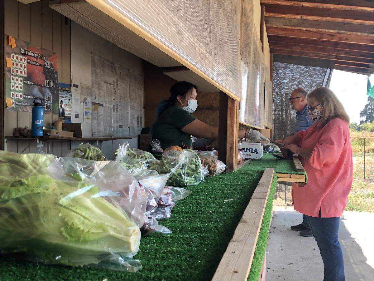 Cashier Nancy Saetern, left, assists customer Donna Holland with a purchase of fresh strawberries at the Kao’s Strawberry Farm roadside stand at Shaw and Grantland avenues in northwest Fresno on Saturday, May 9. Holland was one of about a dozen customers – many wearing face masks and all practicing social distancing – who waited patiently in line under relentless sunshine for their turn at the counter.