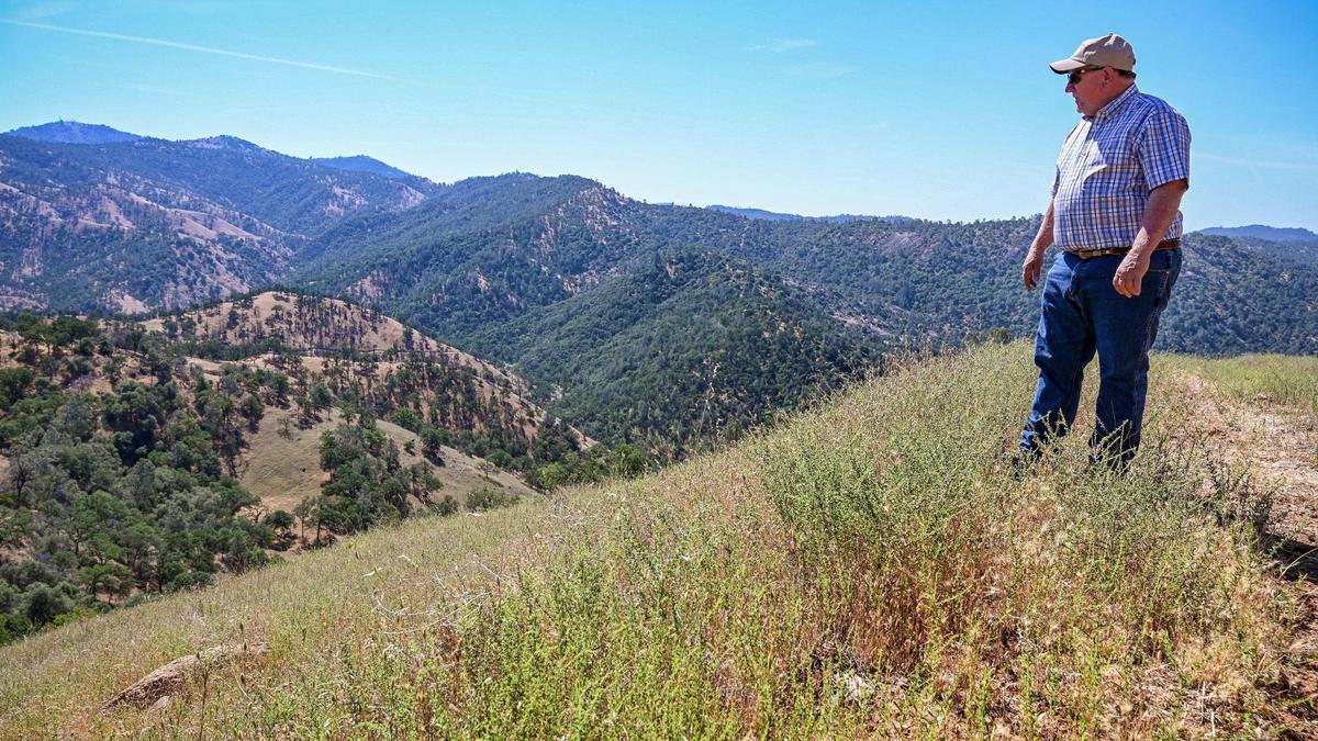 Michael Wright looks down toward the Fresno River from a hillside on his property, the Wright Ranch, which has been in his family for about 100 years, on Wednesday, May 27, 2022. The Wright Ranch was recently acquired as a conservation easement by the Sierra Foothill Conservancy.