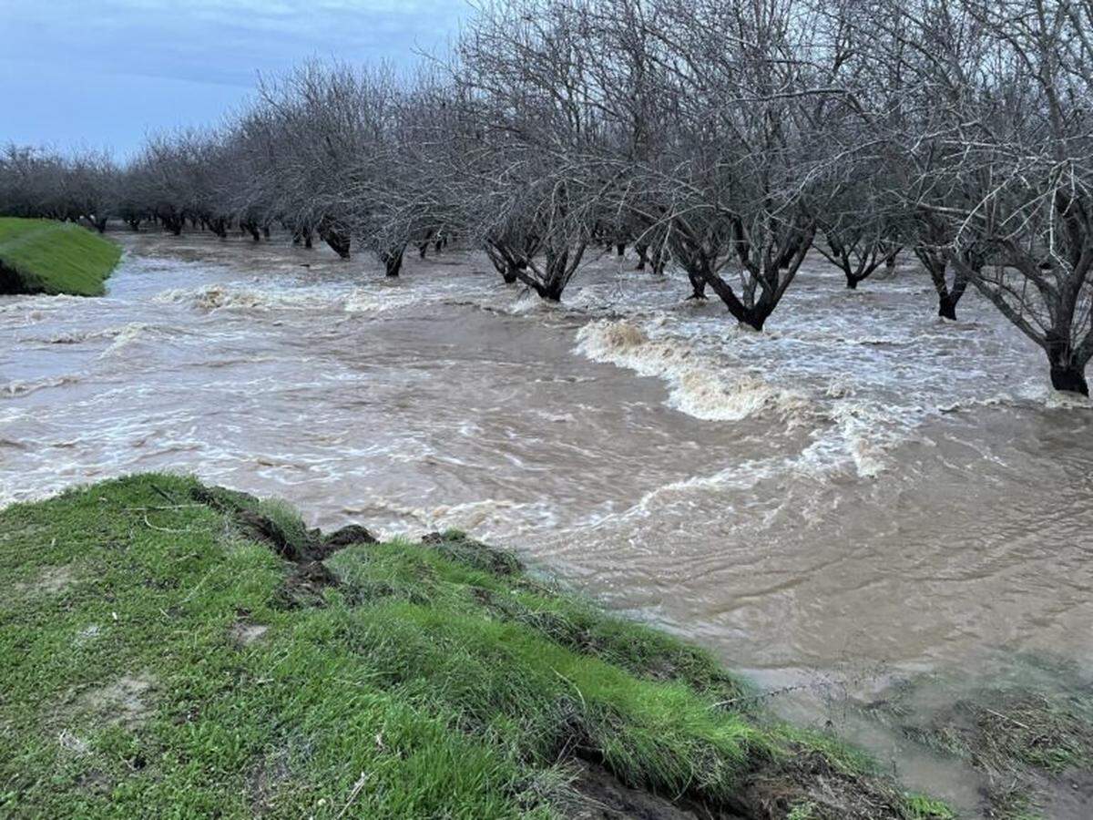 Flood water rushes through a Merced County almond orchard following storms in January 2023.