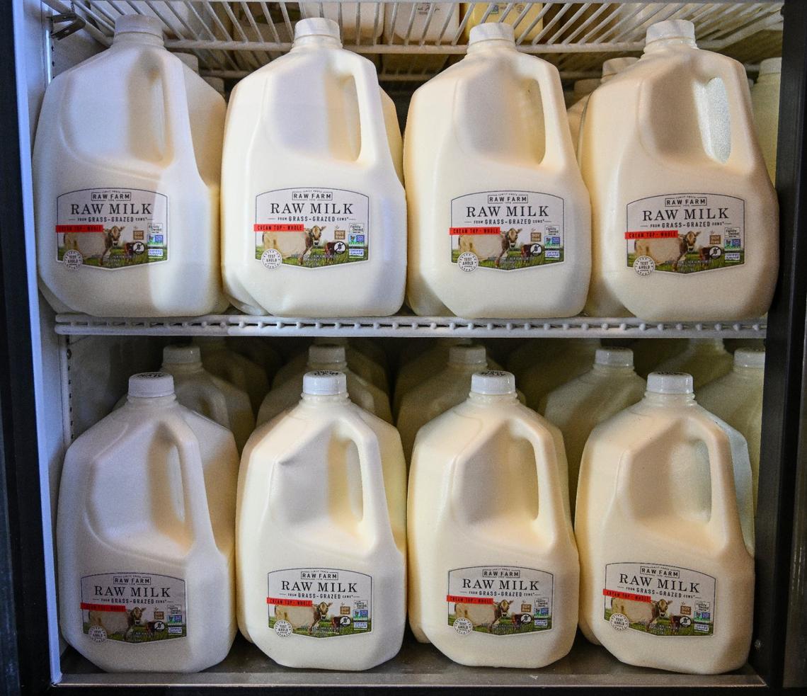 Gallons of raw milk are displayed in a refrigerator at the Raw Farm USA dairy store in Fresno County on Friday, June 14, 2024.