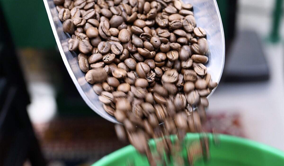 Vatche Moukhtarian, owner of Cracked Pepper Bistro, shows fresh roasted coffee beans at his roasting facility Tuesday, June 23, 2026 in Clovis. Moukhtarian hopes to open a cafeteria in Fresno City Hall later this year offering a full cafeteria plus coffee drinks.