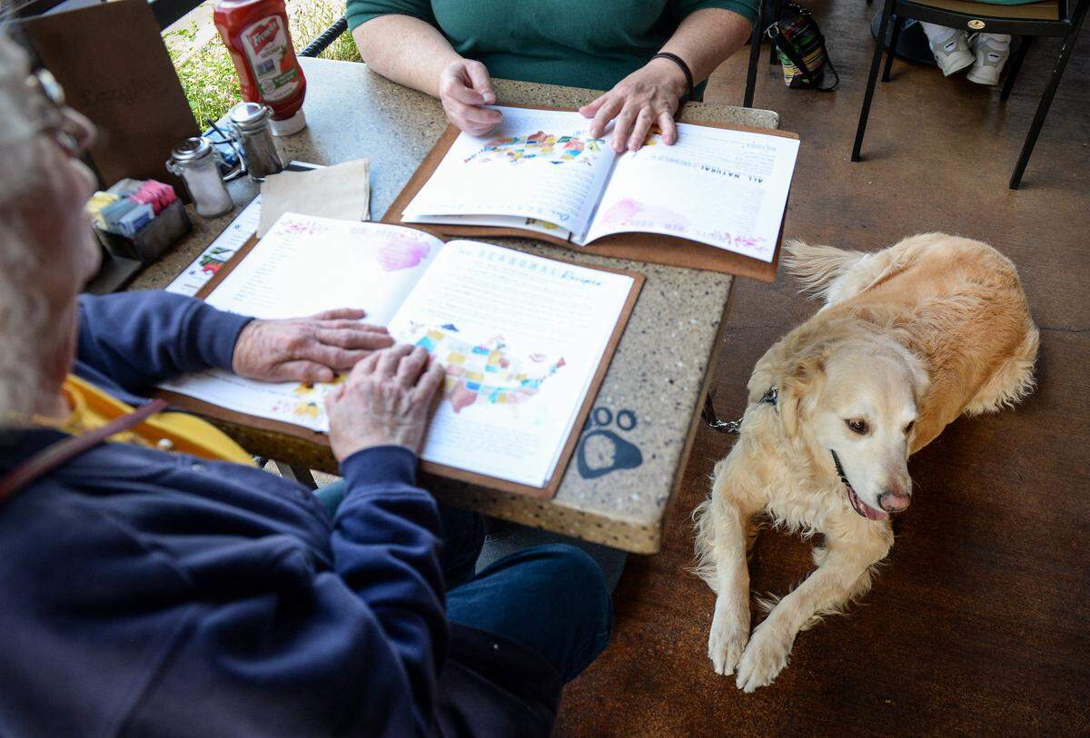 Galloway lies on the patio with his owner Candie Wasson of Fresno while she has dinner with her mother Nancy Liddell at Lazy Dog Restaurant & Bar in Fresno on Thursday, April 18, 2019.