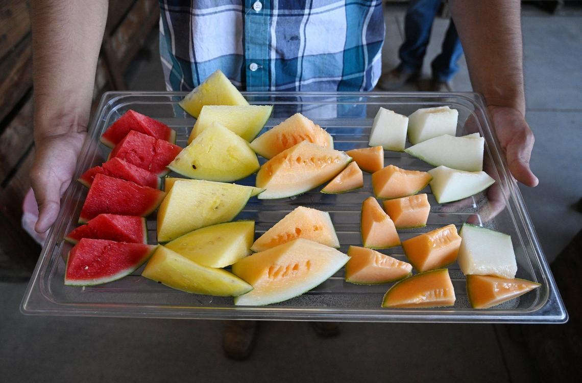 Muestras gratuitas de melones a disposición de los visitantes del puesto de fruta de Del Bosque Farms en Shields Avenue, cerca de la I-5, en el extremo oeste del valle. Fotografiado el lunes 15 de julio de 2024.