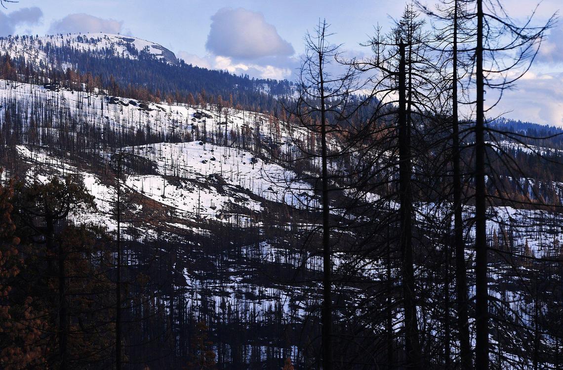 Snow covers the mountains with trees charred by the Creek Fire around Shaver Lake as an approaching storm is expected for the Sierra Tuesday afternoon, March 9, 2021 at Shaver Lake.