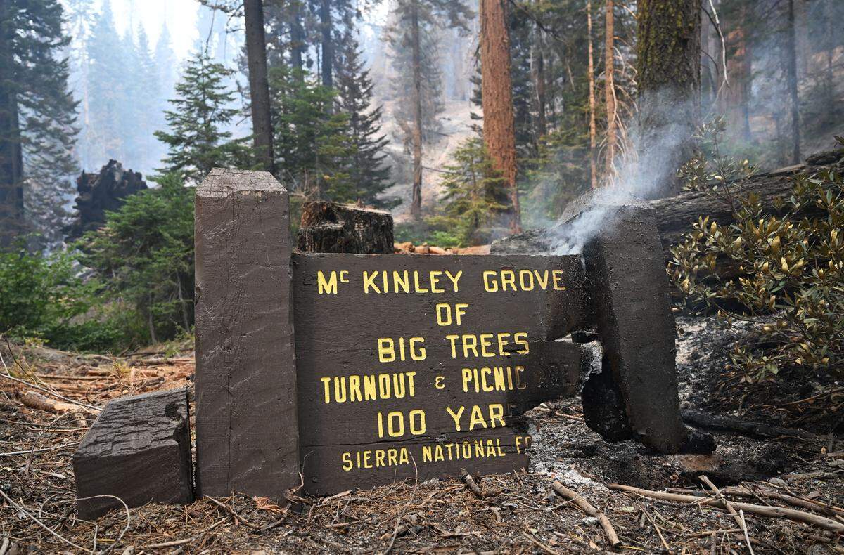 The Garnet Fire burns in the Sierra National Forest southeast of Shaver Lake along Dinkey Creek Road, which had threatened the McKinley grove of giant sequoias, seen Tuesday, Sept. 9, 2025. The lightning-caused fire which began Aug. 24 was reported by CALFIRE to be 15% contained at 56,724 acres burned on Tuesday.